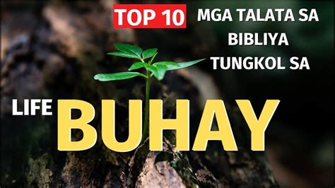 bible verse tungkol sa sugal|41 Mga Taludtod ng Bibliya Tungkol Sa Seksuwalidad .